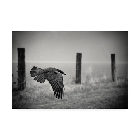 Holger Droste 'The Day Of The Raven' Canvas Art,22x32